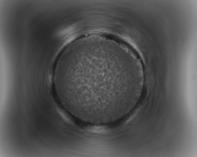 X0000085300063200703091442