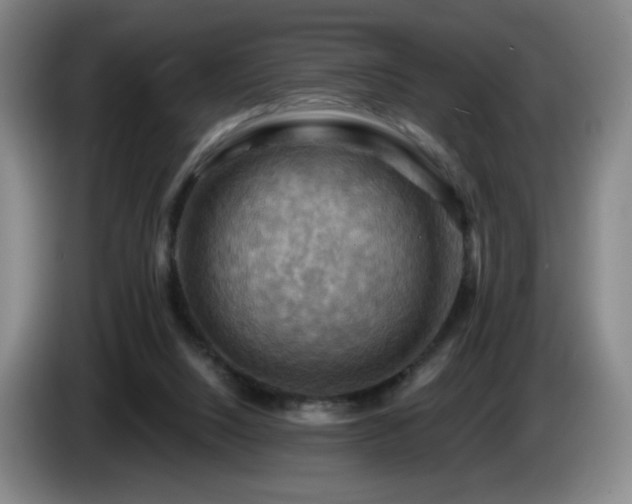 X0000085300064200703091442