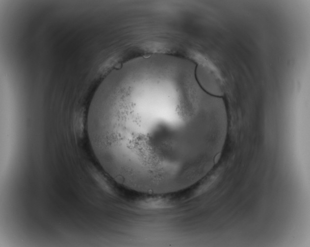 X0000085300065200703091442