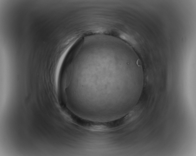 X0000085300066200703091442