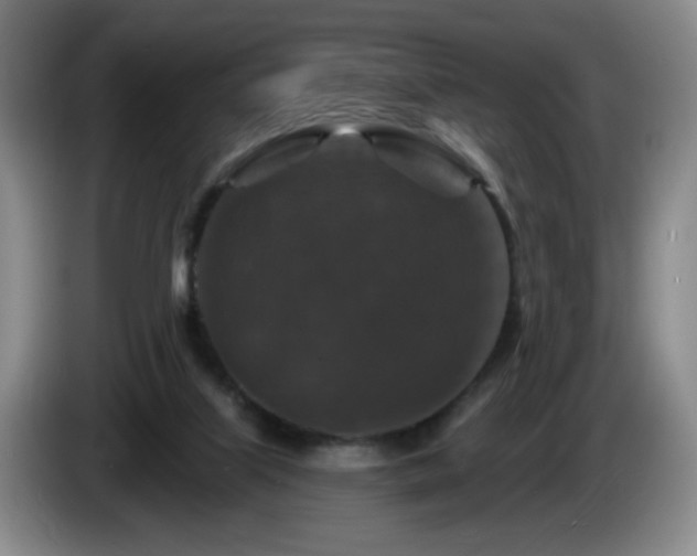 X0000085300067200703091442