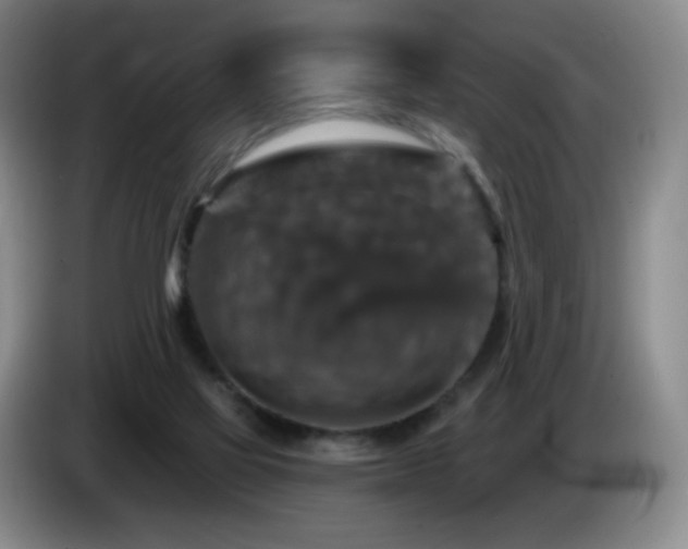 X0000085300069200703091442