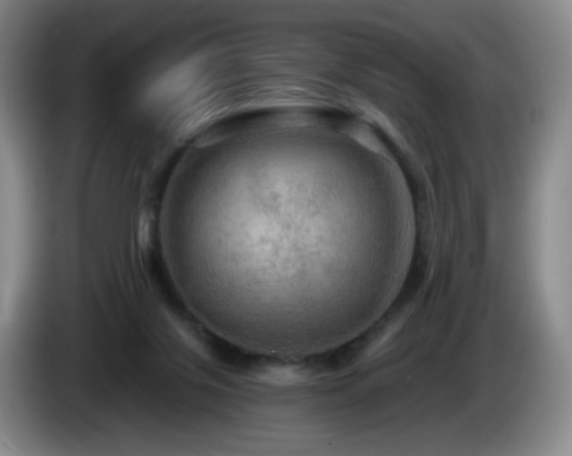 X0000085300071200703091442