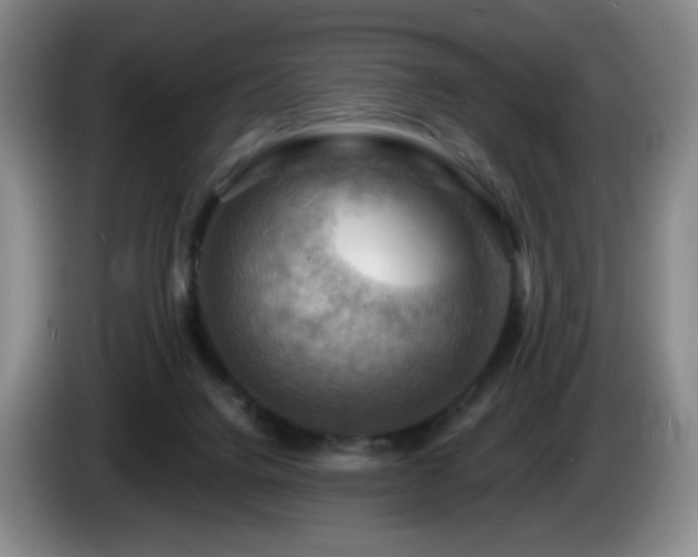 X0000085300072200703091442