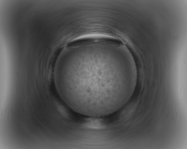 X0000085300073200703091442