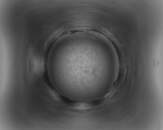 X0000085300074200703091442