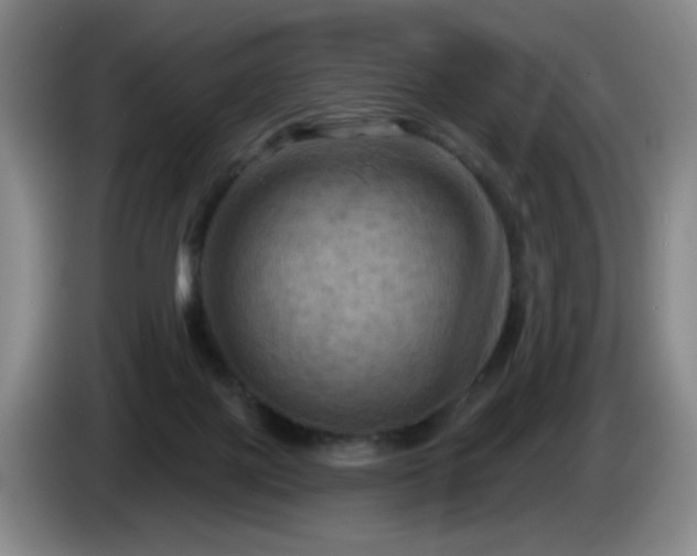 X0000085300075200703091442