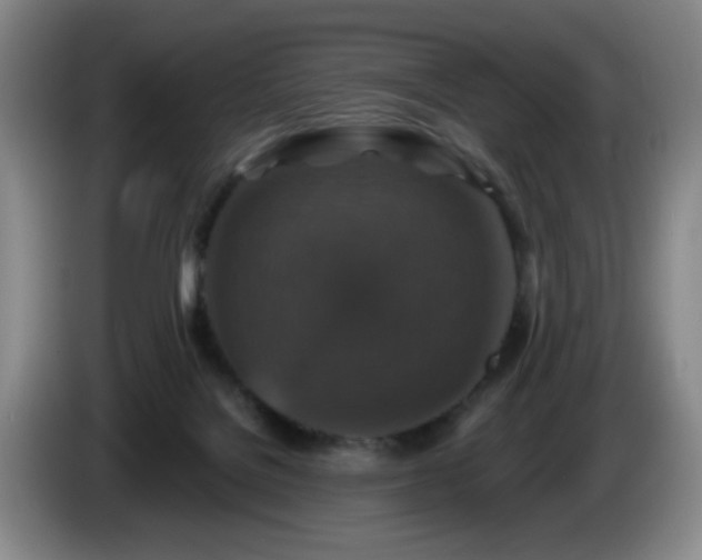 X0000085300076200703091442