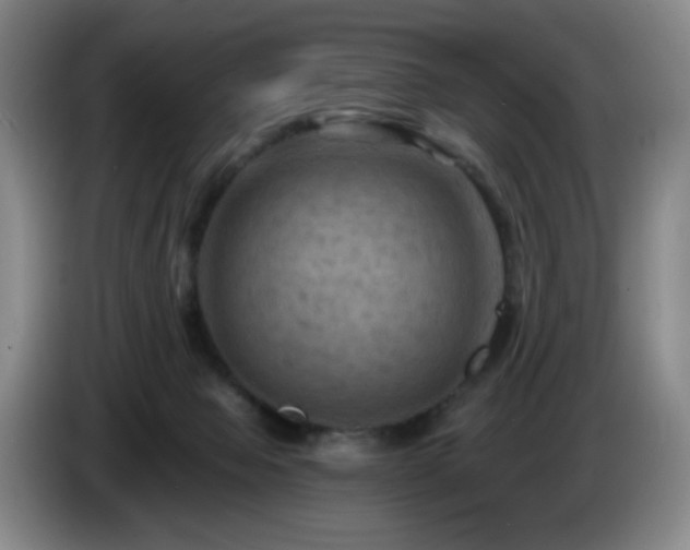 X0000085300077200703091442