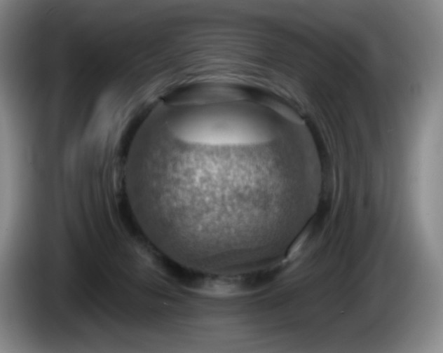 X0000085300078200703091442