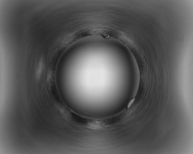 X0000085300079200703091442