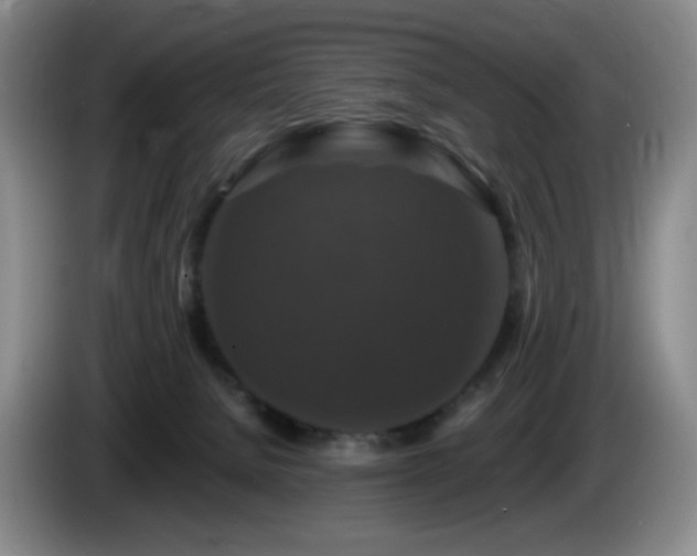 X0000085300080200703091442