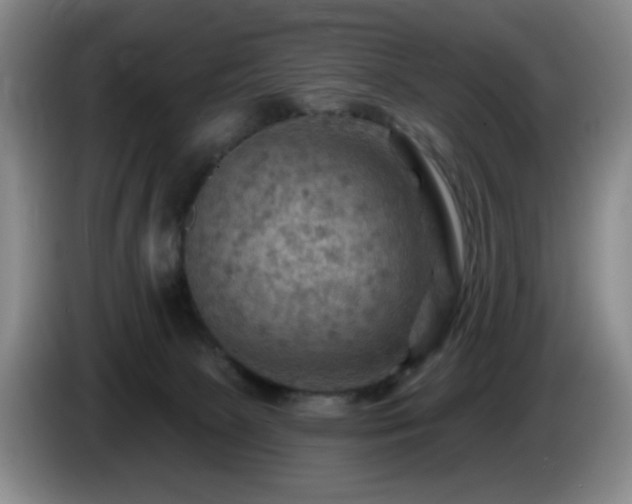 X0000085300081200703091442