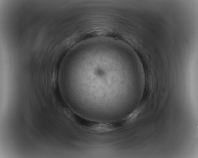 X0000085300082200703091442