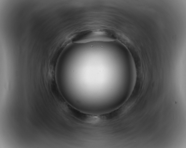 X0000085300083200703091442