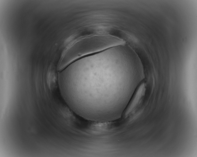 X0000085300084200703091442