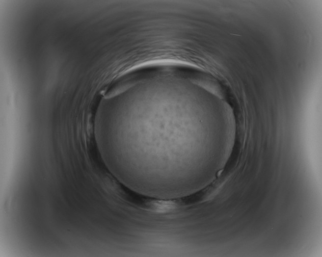 X0000085300085200703091442