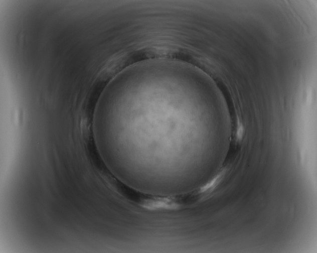 X0000085300086200703091442