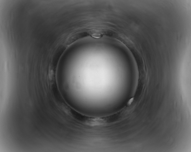 X0000085300087200703091442