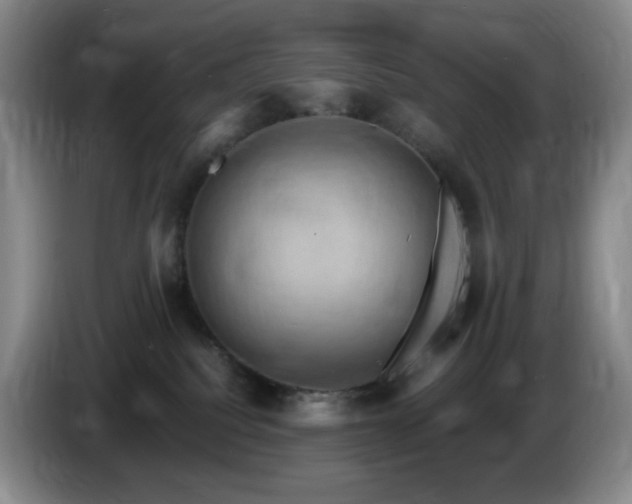 X0000085300088200703091442