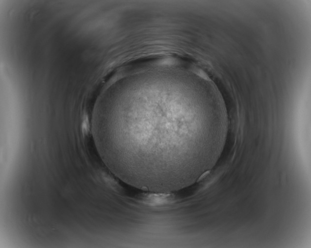 X0000085300089200703091442