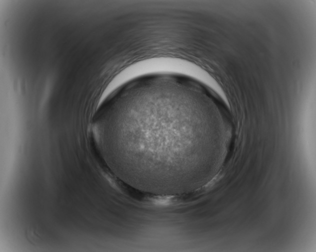 X0000085300090200703091442