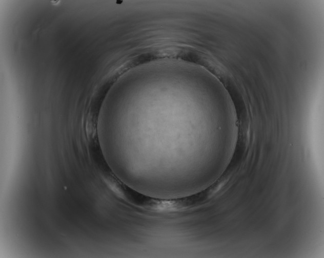 X0000085300091200703091442