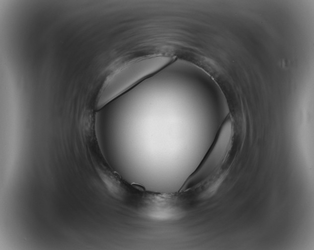 X0000085300092200703091442