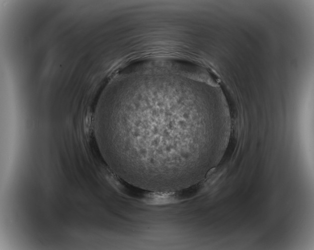 X0000085300093200703091442