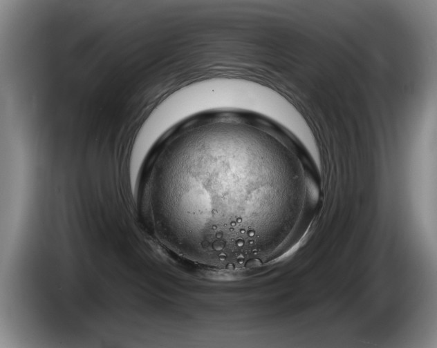 X0000085300094200703091442