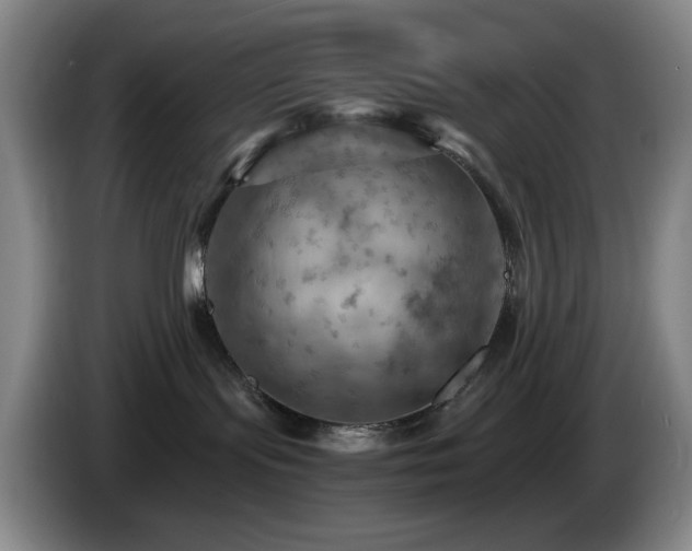 X0000085300095200703091442