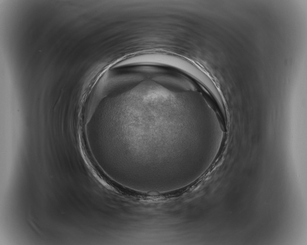 X0000085300097200703091441