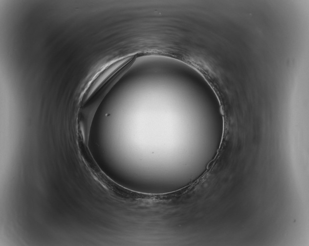 X0000085300098200703091441