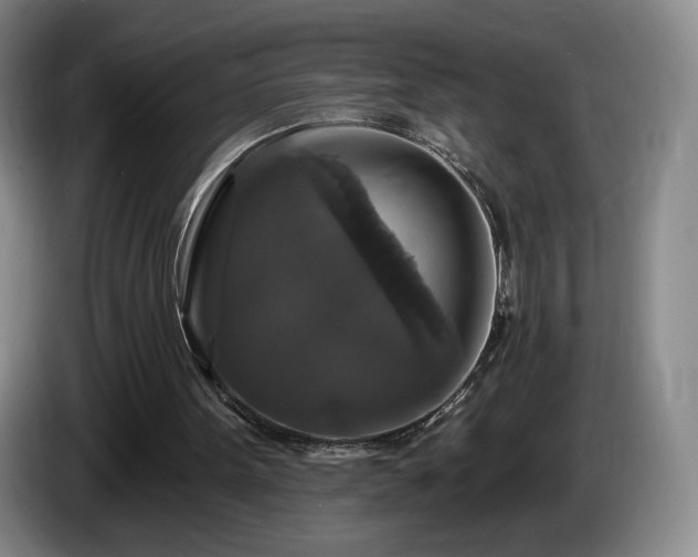 X0000085300099200703091441