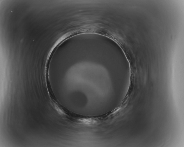 X0000085300100200703091441