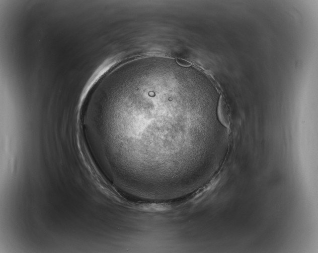 X0000085300102200703091441