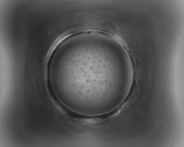 X0000085300103200703091441