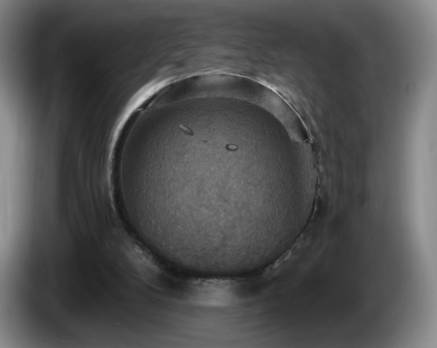 X0000085300104200703091441