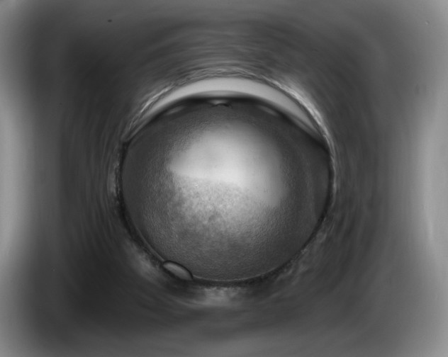 X0000085300105200703091441