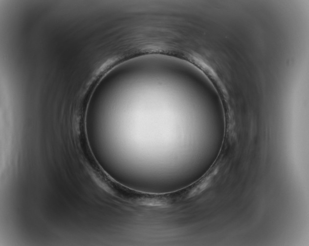 X0000085300106200703091441