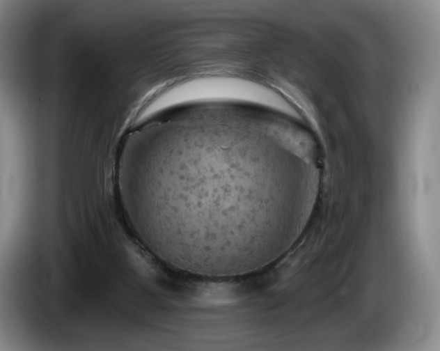 X0000085300107200703091441