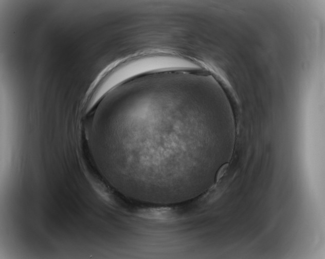 X0000085300108200703091441