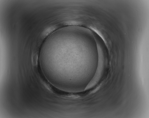 X0000085300109200703091441