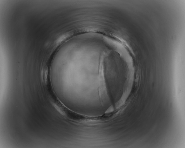 X0000085300110200703091441