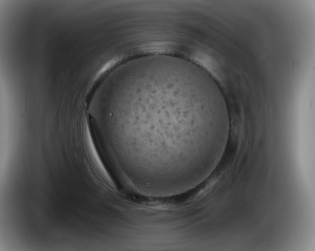 X0000085300111200703091441