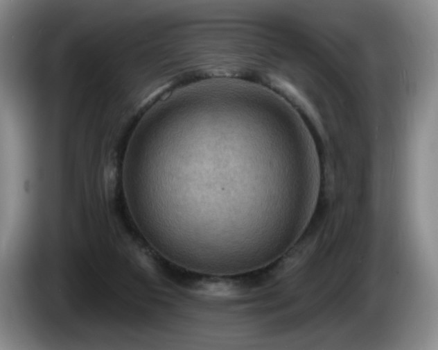 X0000085300113200703091441