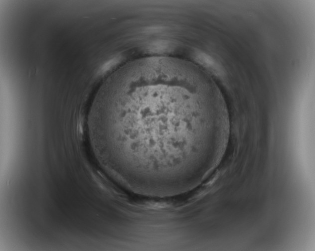 X0000085300115200703091441