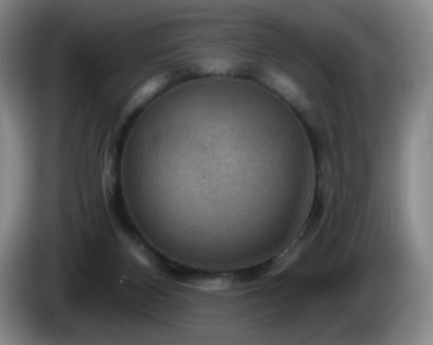 X0000085300116200703091441