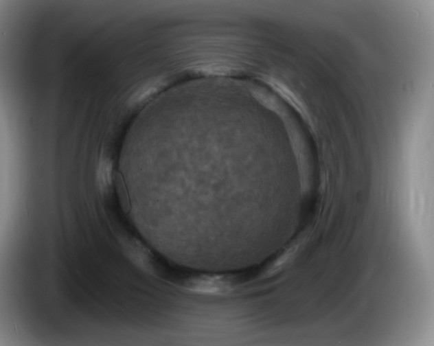 X0000085300117200703091441