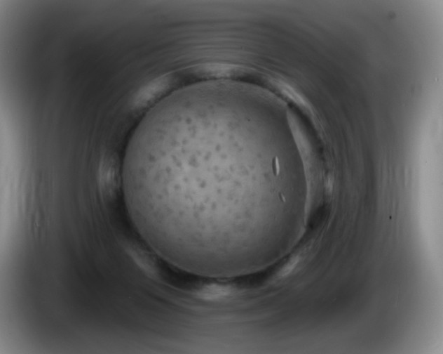 X0000085300119200703091441